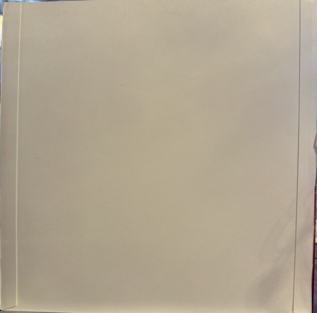 Belong "Colorloss Record" LP - RARE /300 NM Stencil Home Made Cover