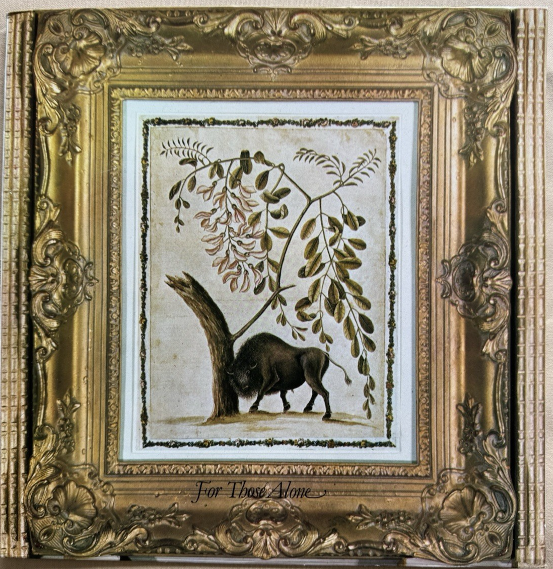 Soft Shoe – For Those Alone LP 1978 UK Private Press Folk Psych RARE Played Once